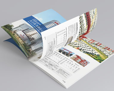 山東龍泉股份宣傳畫(huà)冊(cè)