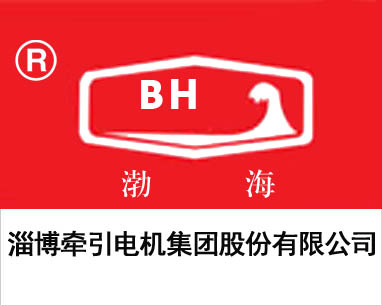 牽引電機(jī)企業(yè)畫冊(cè)