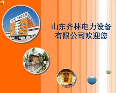 齊林集團ppt制作